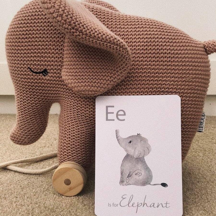 Alphabet Animal Flashcards