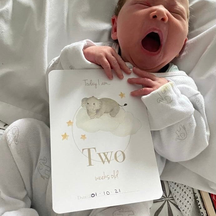 Baby Milestone Card Set