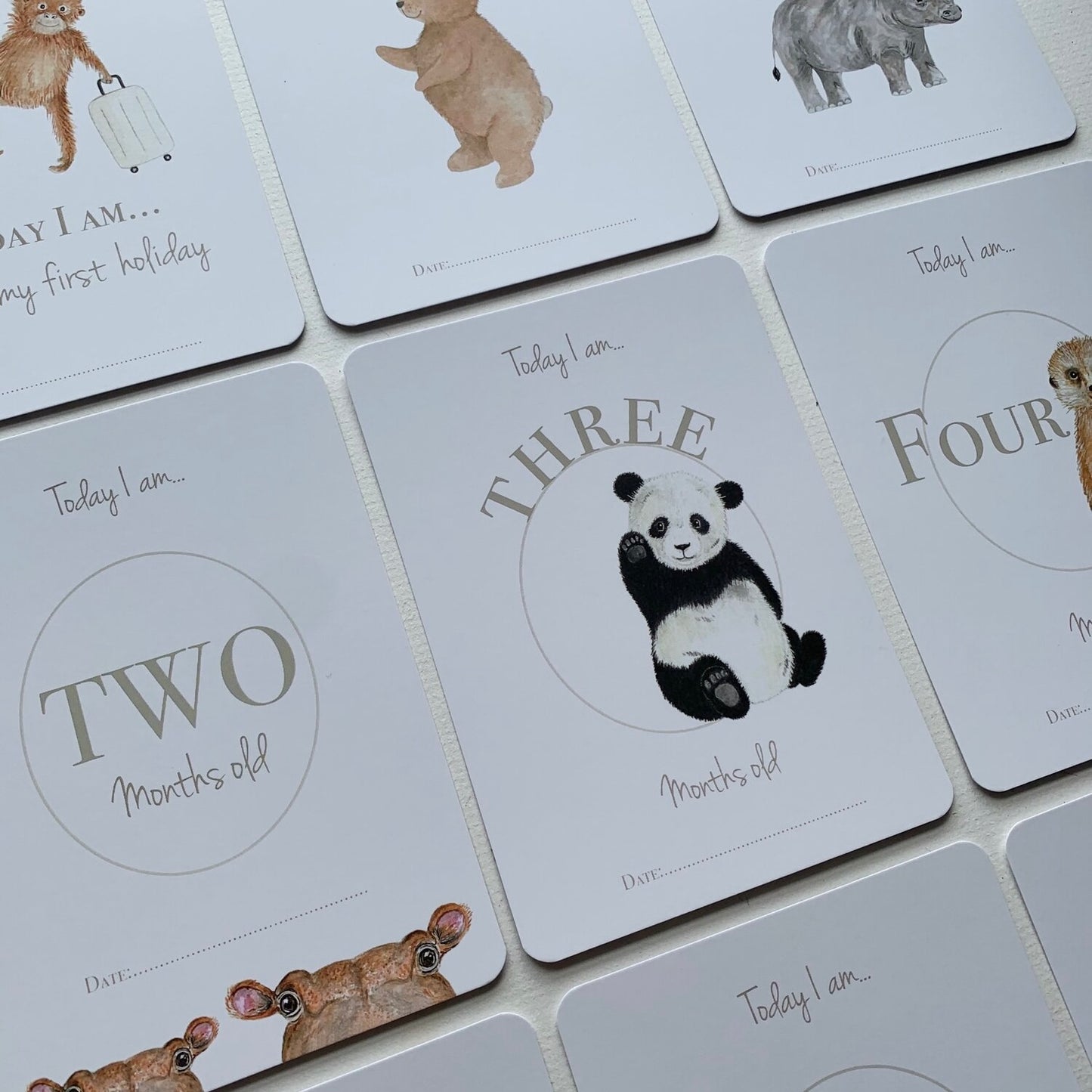 Baby Milestone Card Set