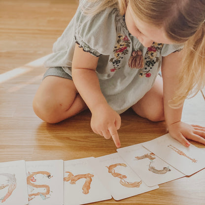 Number Flashcards - Kids Counting Cards