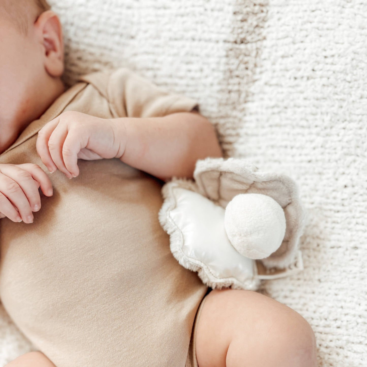 Oyster Handheld Baby Rattle with Textures