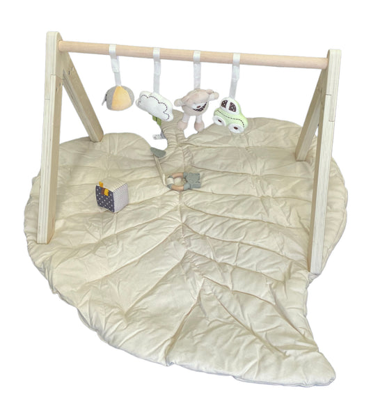 Baby Playmat & Wooden Play Gym